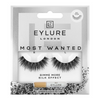 Eylure Most Wanted Gimme More